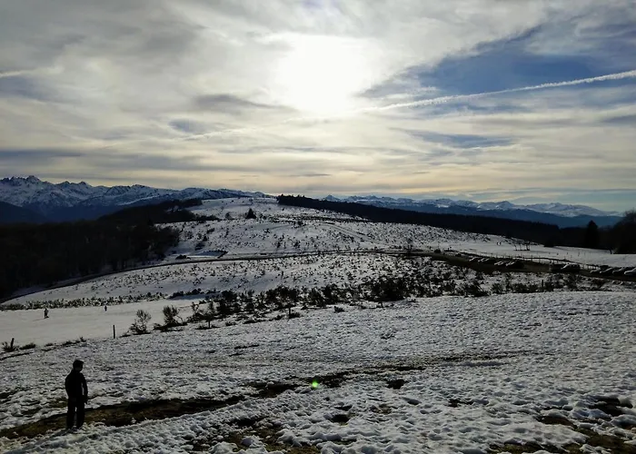 Апартаменты Magui *