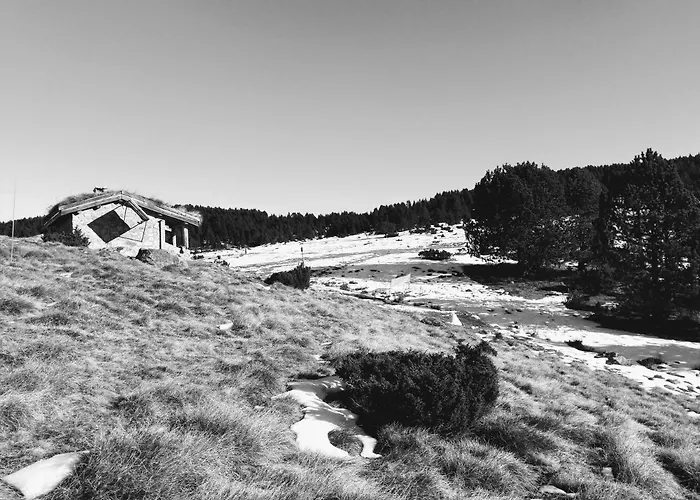 Апартаменты Magui *